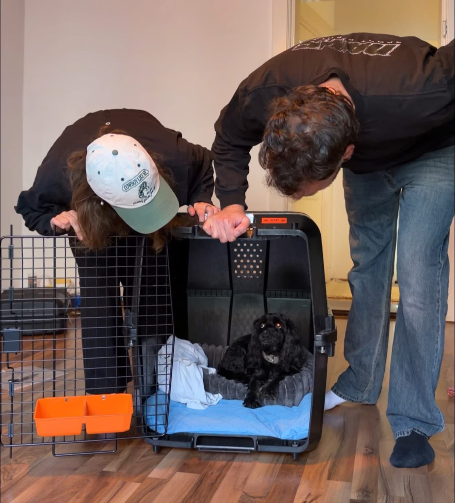 Lily the Cocker Spaniel resting in her travel crate while her family looks in